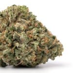 OG Kush
