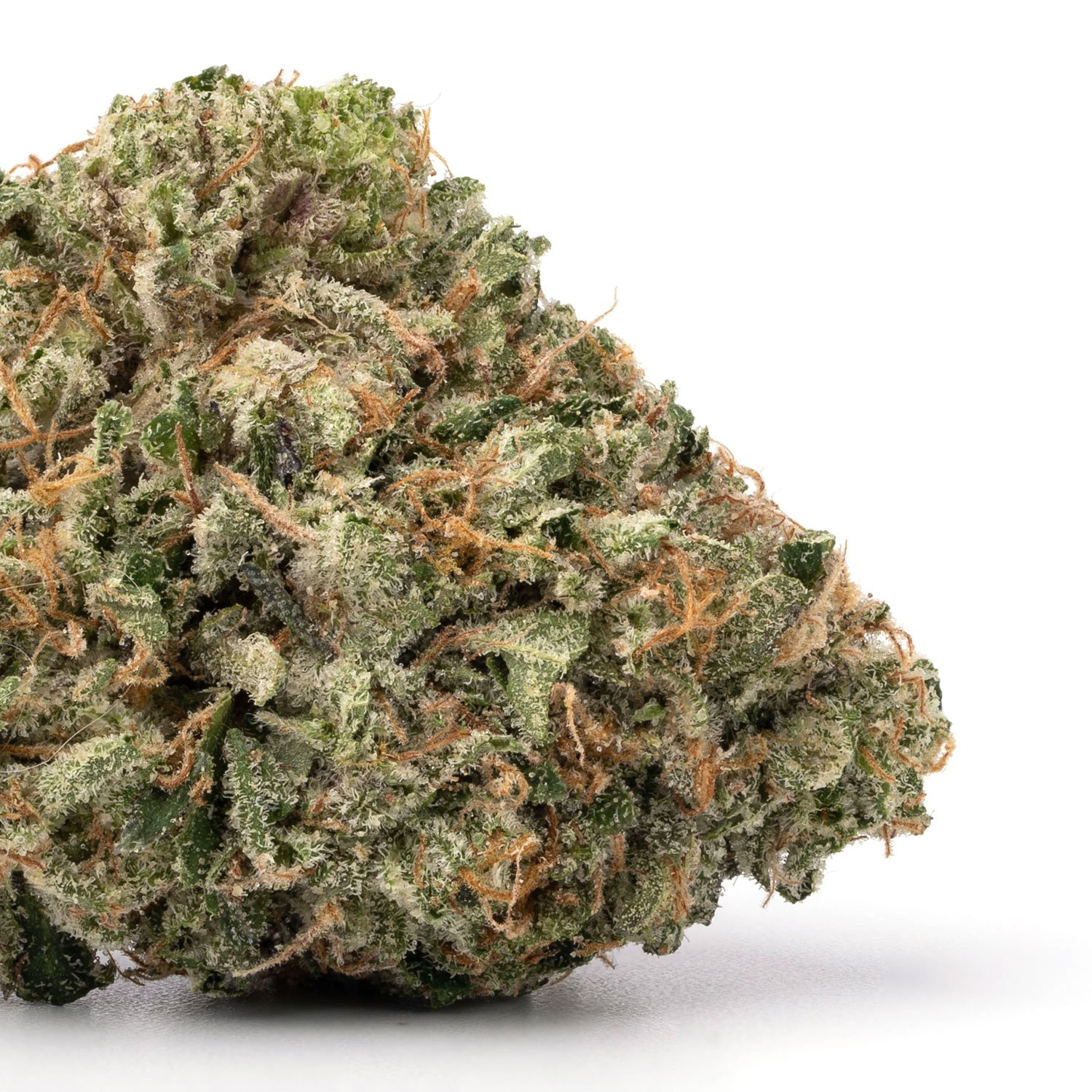 OG-Kush-1.jpg OG Kush - Image 1