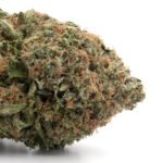 OG Kush Breath
