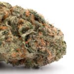 Orange Cookies