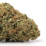 Orange Kush