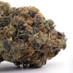 Peanut Butter Breath