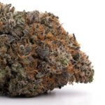 Pink Bubba