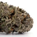 Pink Rockstar