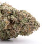 Platinum Cookies