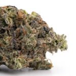Pure Kush
