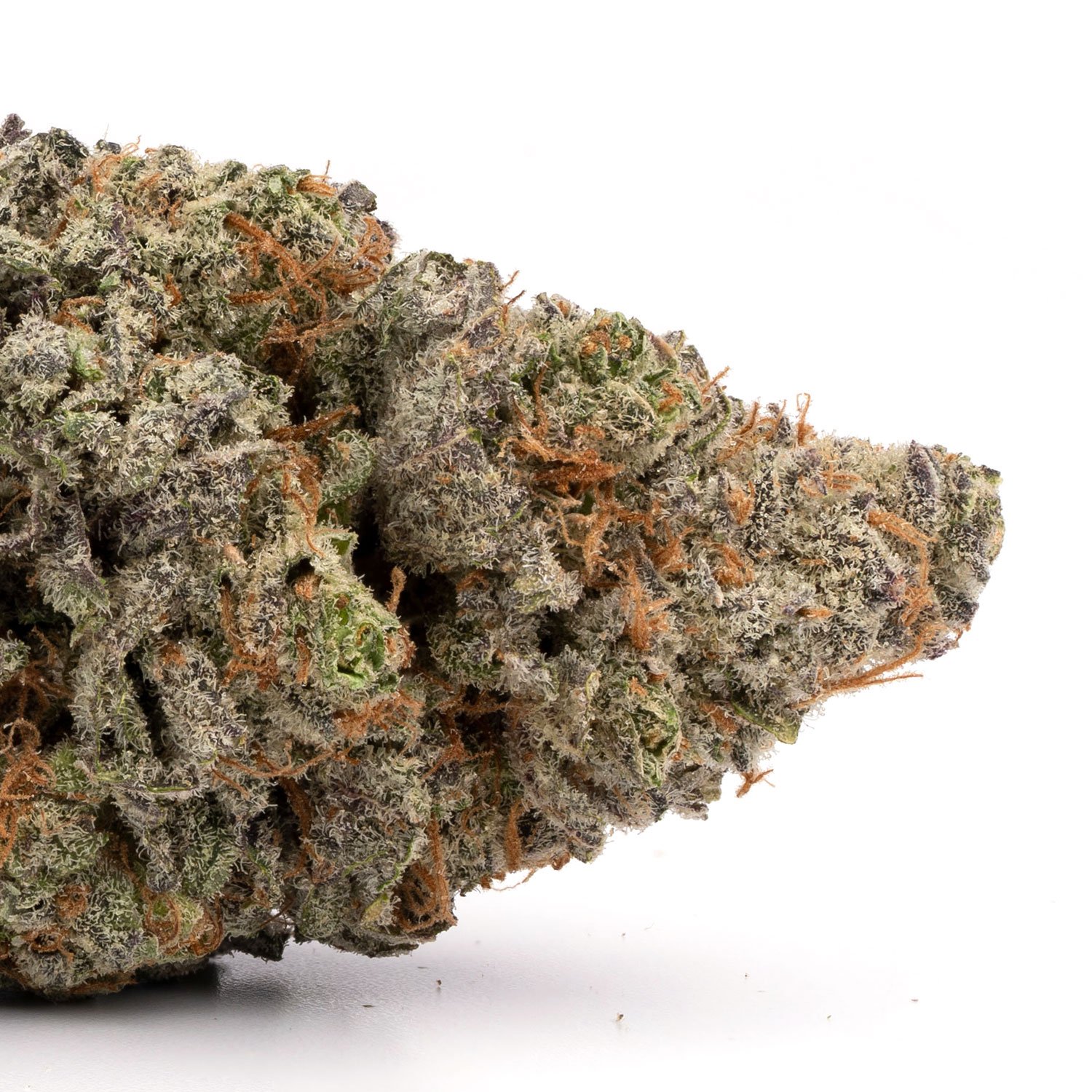 Purple-Bubba-1.jpg Purple Bubba - Image 1