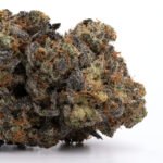 Purple Gold