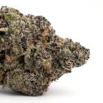 Purple Haze