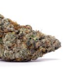 Purple Punch