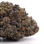 Purple Skunk