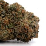 Rockstar OG