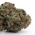SFV OG
