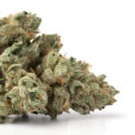 Sage and Sour