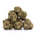 Sensi Star - Image 2