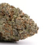 Shishkaberry