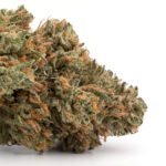 Sour Bubble