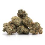 Sour Tangie - Image 2
