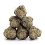 Sugar Cookies - Image 2