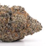 Sundae Driver