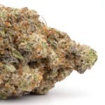 Sunset Sherbet