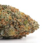 Super Glue