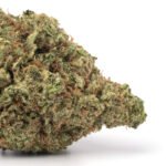 Super Lemon Haze