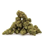 THCa Flower Acapulco Gold - Image 2