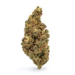 THCa Flower Amnesia Haze