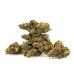 THCa Flower Amnesia Haze - Image 2