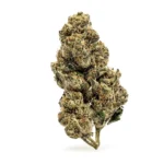THCa Flower Astro Candy