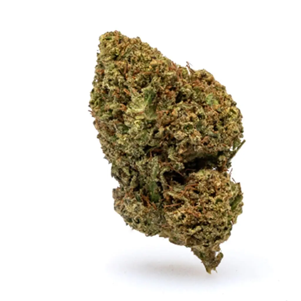 THCa-Flower-Jack-Herer-Nug.webp THCa Flower Jack Herer - Image 1
