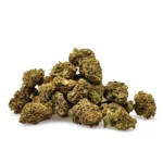 THCa Flower Jack Herer - Image 2