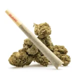 THCa Flower Pre-Roll Cereal Milk - Image 3