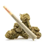 THCa Flower Pre-Roll Alien Cookies - Image 2