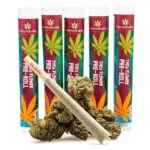 THCa Flower Pre-Roll Pineapple Express - Image 2