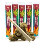 THCa Flower Pre-Roll Uncle Snoop