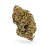 THCa Flower Purple Cream