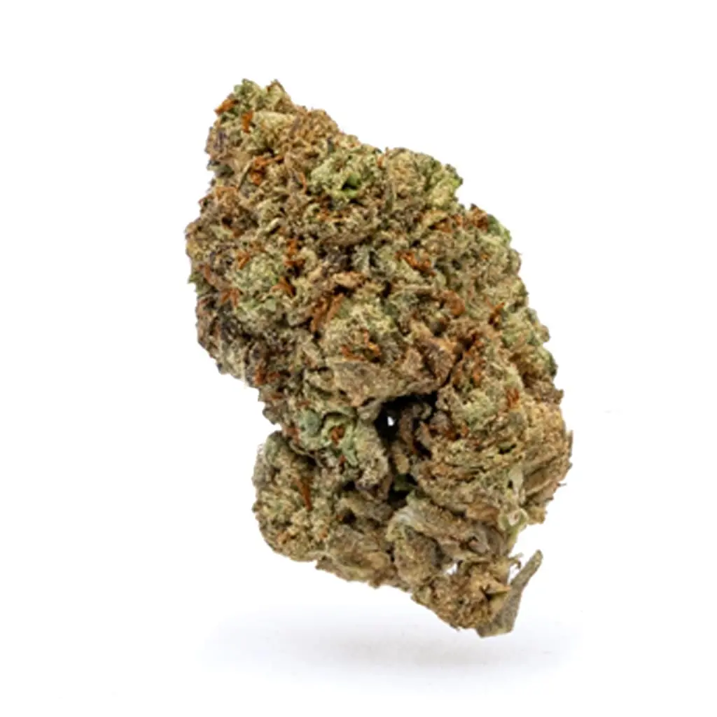 THCa-Flower-Purple-Cream-Bud.webp THCa Flower Purple Cream - Image 1