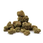 THCa Flower Purple Cream - Image 2