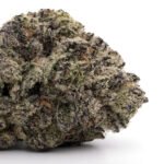 Tang Breath