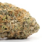 Tangerine Dream