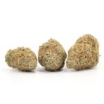 Tangerine Dream - Image 2
