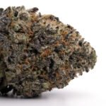 Trainwreck