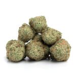 Tropicali - Image 2