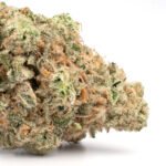 Tropicana Cookies