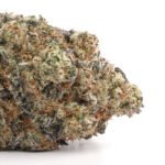 Tuna Kush