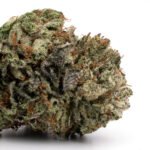 Vanilla Kush