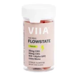 VIIA CBG and CBD Flowstate Focus Gummies - THC Free - Image 2