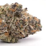 Wedding Pie